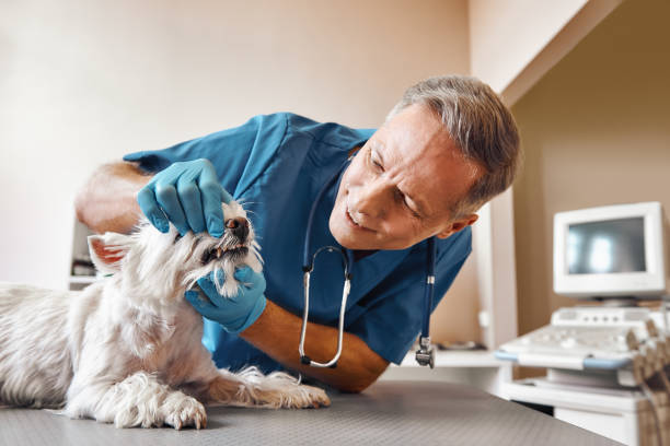Best Same-Day Emergency Dentist in Gadsden, AL
