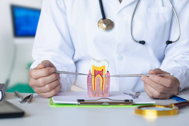 Best Emergency Root Canal Treatment in Gadsden, AL